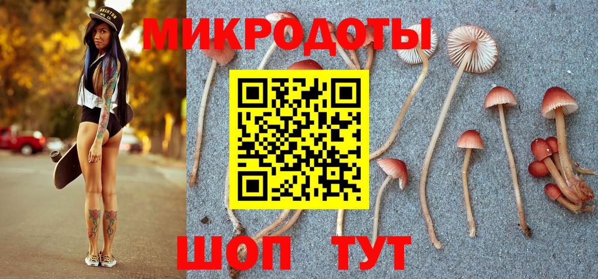 Галлюциногенные грибы мухоморы Городец