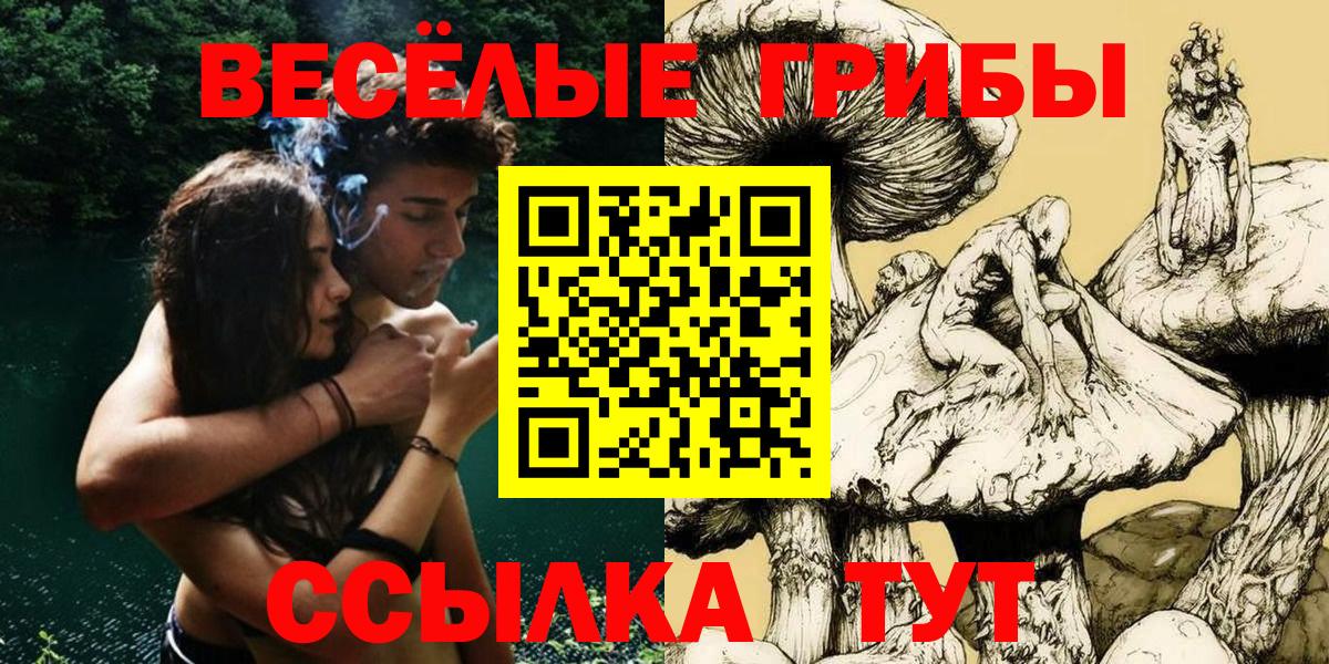 Псилоцибиновые грибы мухоморы  Псилоцибиновые грибы Magic Shrooms  Городец  Вход с VPN 